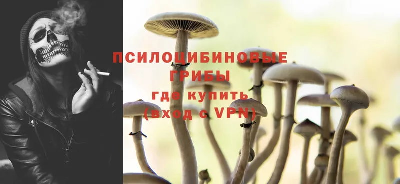 Галлюциногенные грибы Magic Shrooms  Кулебаки 